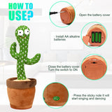 2 in 1 Dancing & Talking Cactus Toy